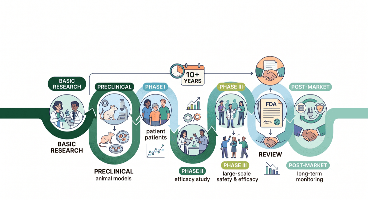 Why does drug development takes over 10 years?